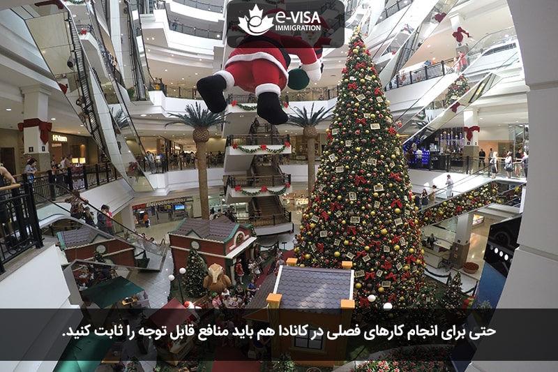 ویزای c11 کانادا